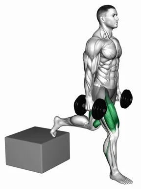 Dumbbell Single Leg Split Squat with Low Box demo