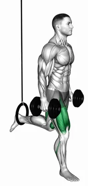Dumbbell Single Leg Split Squat with the Ring demo