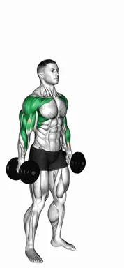 Dumbbell Standing Hammer Curl to Press demo