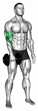 Dumbbell Standing One Arm Reverse Curl demo