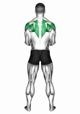 Dumbbell Standing Scapular External Rotation (back POV) demo