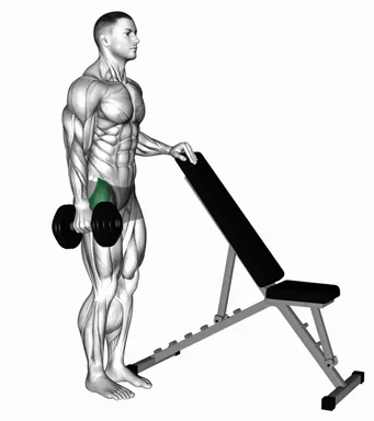 Dumbbell Standing Side Leg Kick demo