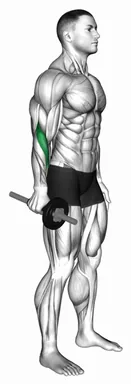 Dumbbell Standing Wrist Radial Flexion demo