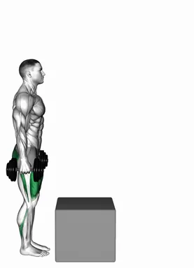 Dumbbell Step over Box demo
