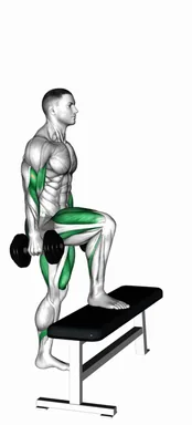Dumbbell Step Up Single Leg Balance with Bicep Curl demo