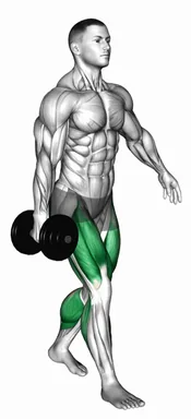 Dumbbell Suitcase Carry demo