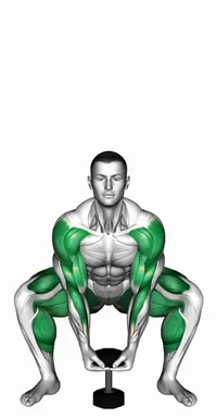 Dumbbell Sumo Deadlift High Pull demo