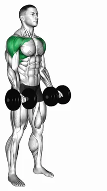 Dumbbell Underhand Front Raise demo