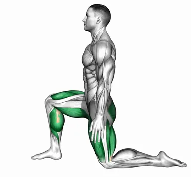 Dynamic Weight-Bearing Ankle Dorsiflexion demo