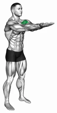 Elbow Closed Arms Pulse demo