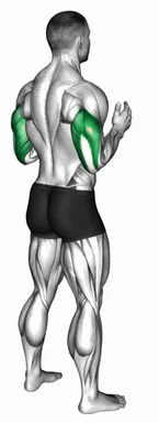 Elbow Extension demo