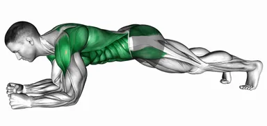 Elbow Plank Thigh Tap demo