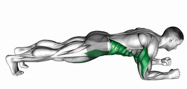Elbow-Up and Down Dynamic Plank demo