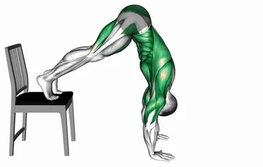 Elevated Plank Walkout with a Chair demo