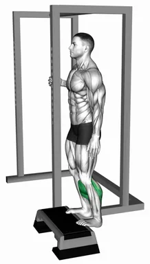 Elevated Standing Calf Raise demo