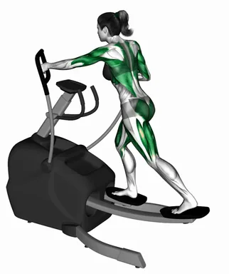 일립티컬 스키잉 자세 시연