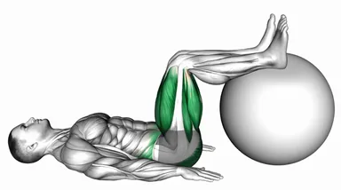 Elevated Glute Bridge on a Stability Ball demo