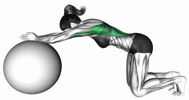 Exercise Ball Kneeling Prayer Lat Stretch demo