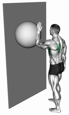 Exercise Ball Serratus Wall Single Leg Slide demo