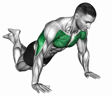 Explosive Kneeling Push-Up demo