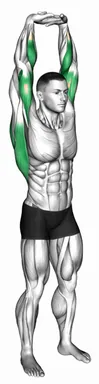 Extension of Arms in Vertical Stretch demo