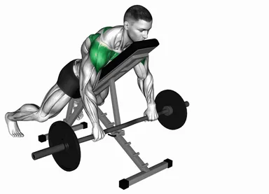 EZ Bar Incline Lying Rear Delt Raise demo