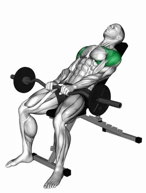 EZ bar Incline Pronated Grip Front Raise demo