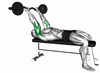 EZ Bar Skull Crusher (VERSION 2) demo