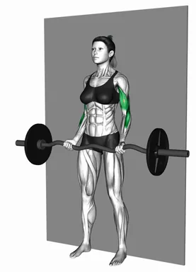 EZ Barbell Strict Curl (Demo 2) demo