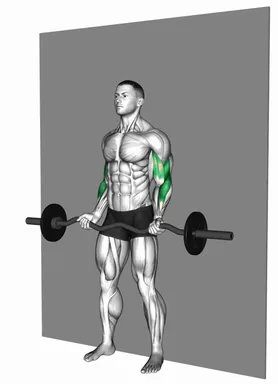 EZ Barbell Strict Curl demo