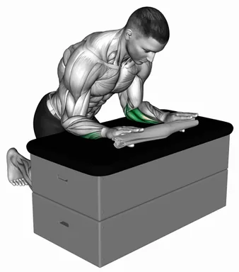 Finger Extension While Holding a Towel demo