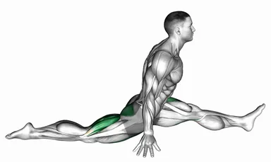 Flexion and Extension Hip Stretch demo