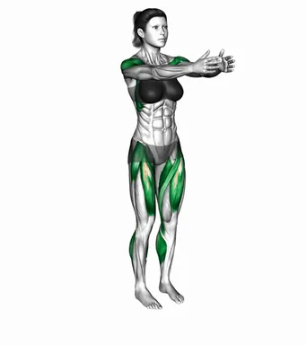 플라이 프론트 스텝 자세 시연