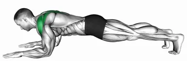Forearms Plank with Shoulder Protraction demo