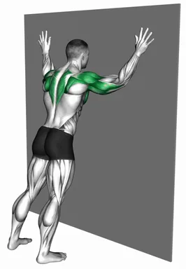 Forearms to Wide Grip Wall Push-Up demo
