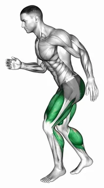앞뒤 퀵 스텝 자세 시연