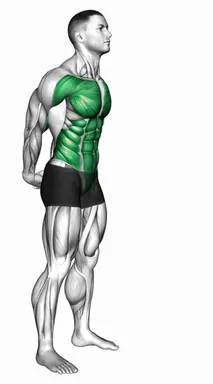 Forward Bend Back Stretch demo