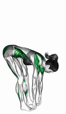 Forward Fold Twist with Toe Hold demo