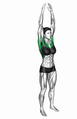 Front and Back Arm Rotation demo