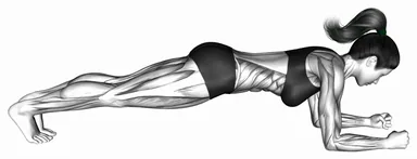 Front Plank Form Correction (Butt) demo