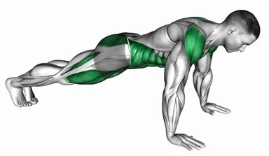 Front Plank to Toe Tap demo