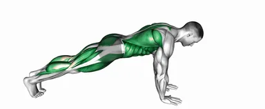 High Plank with Arm and Leg Lift demo