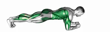 Front Plank with Arm and Leg Lift demo