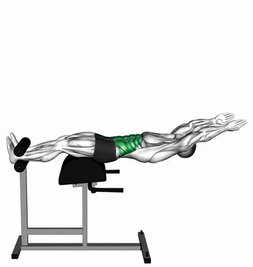 Glute Ham Developer Straight Arms Sit up demo