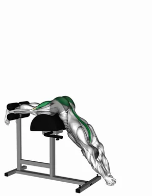 Glute Ham Raise with Extended Arms demo