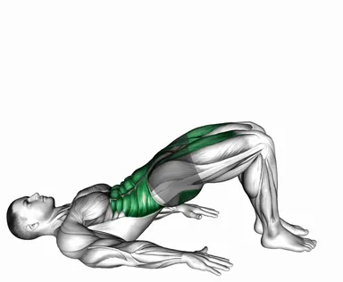 Glute March demo