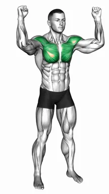 Half Chest Fly demo