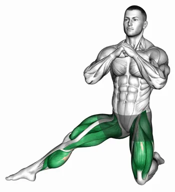 Half Kneeling Side Lunge demo