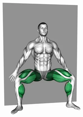 Wall Half Squat Tip Toe demo