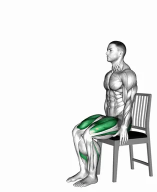 Hands Assisted Sit To Stand on a Chair demo